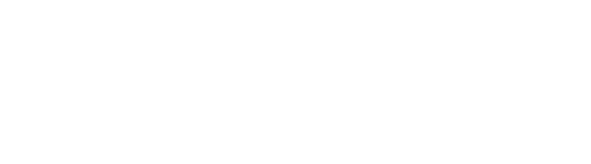 logo-texcelis-blanc